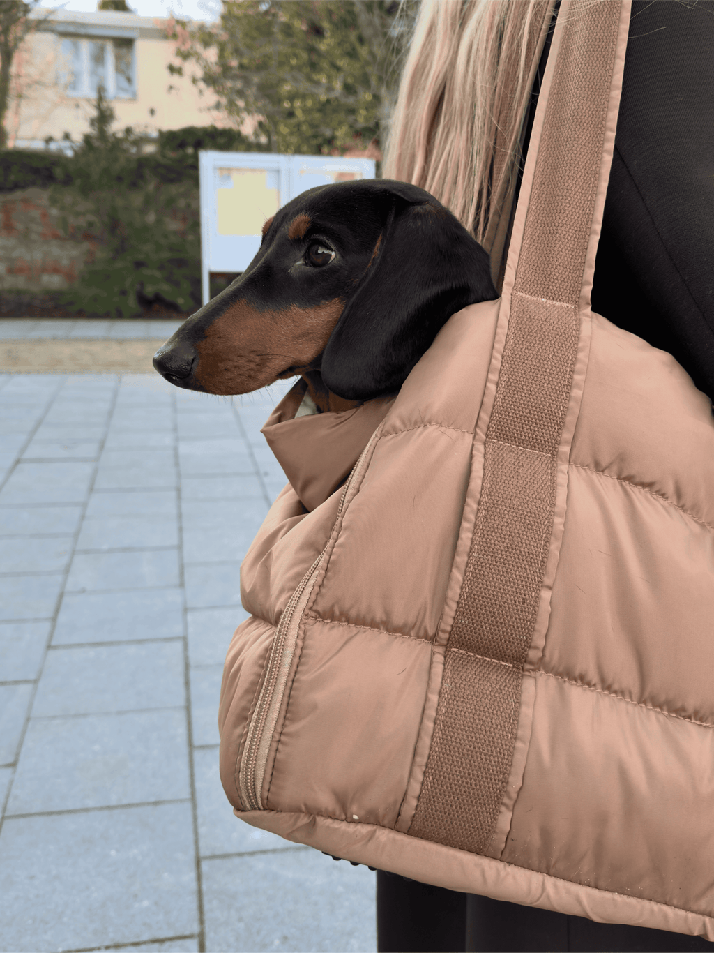 Hundetasche Cleo