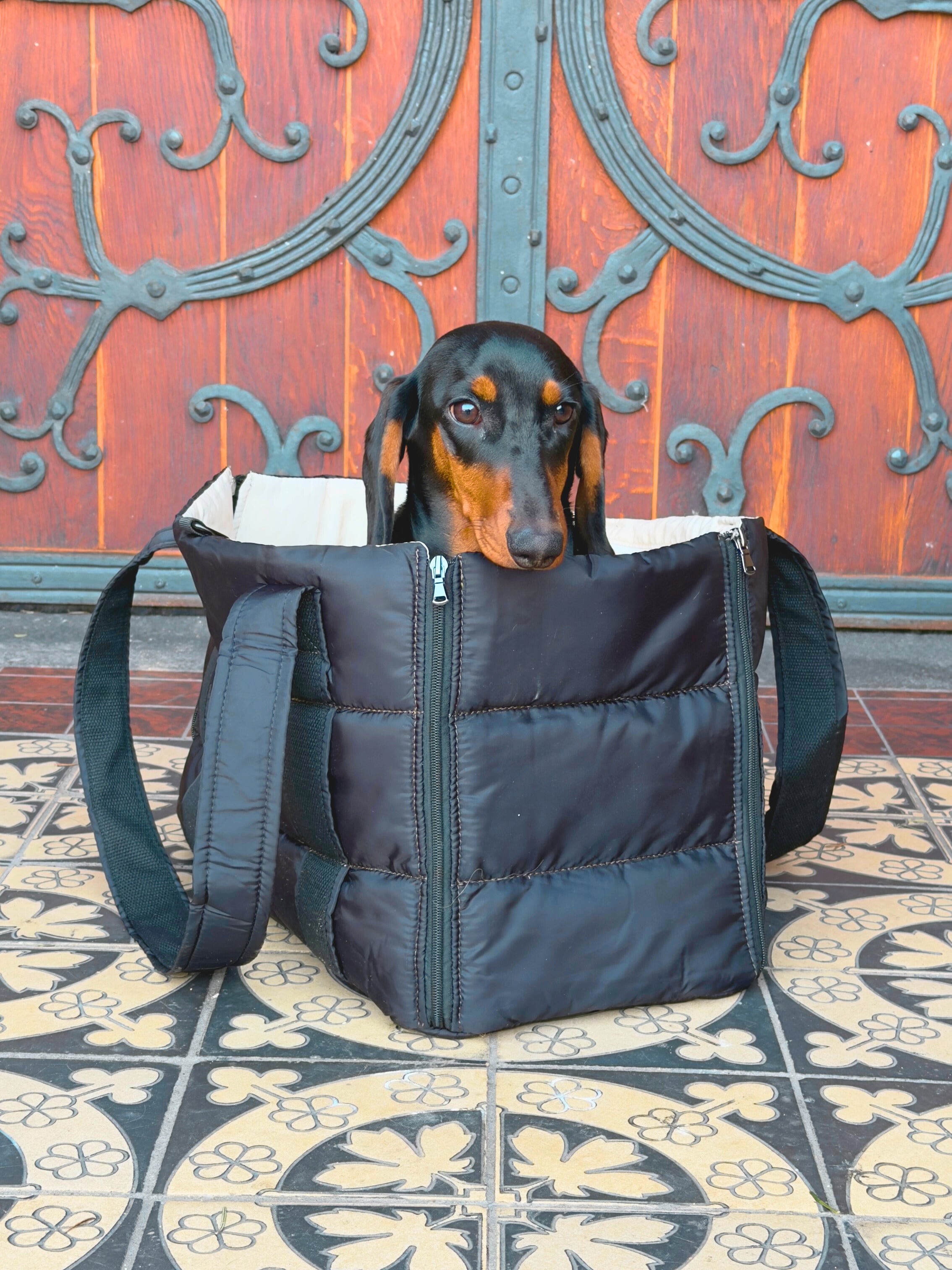 Hundetasche Cleo